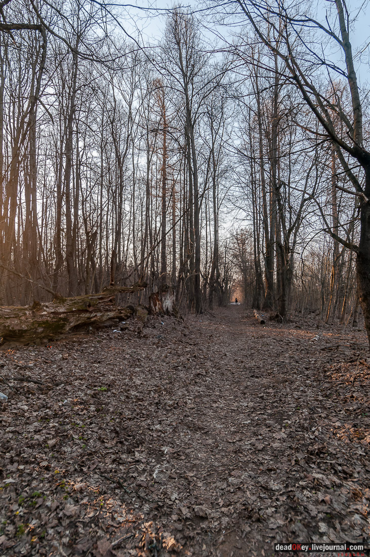 усадьба Никольское-Урюпино