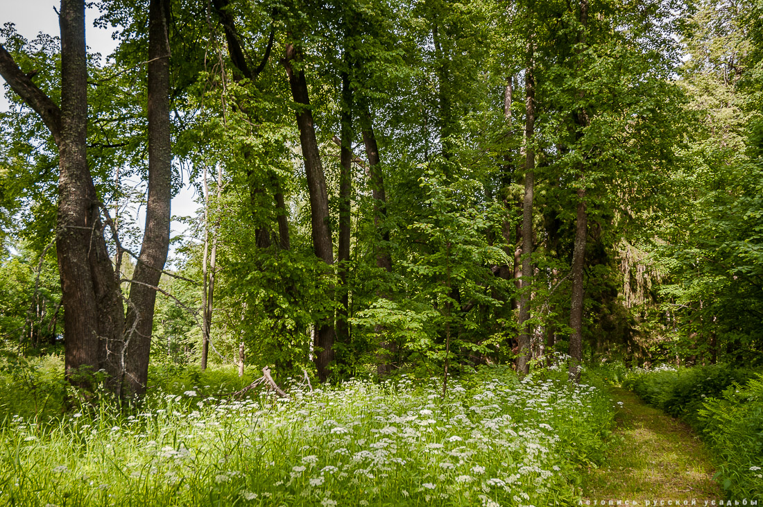 усадьба Спас-Угол
