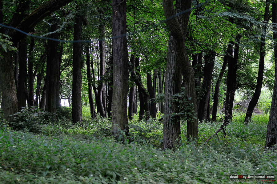 усадьба Матыра