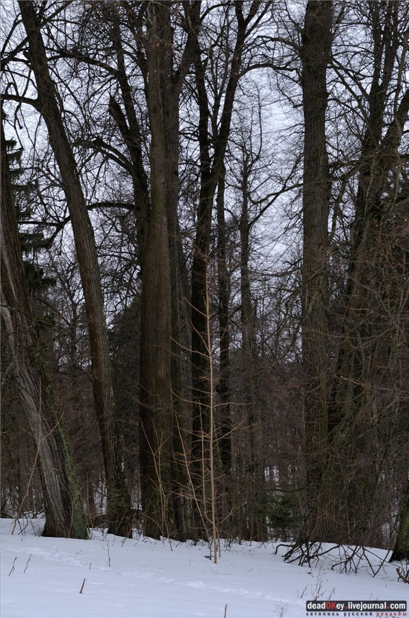 усадьба Воробьево