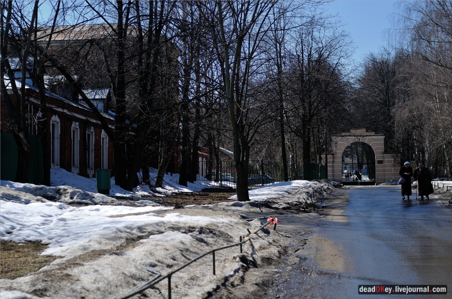 Бабушки в русских усадьбах