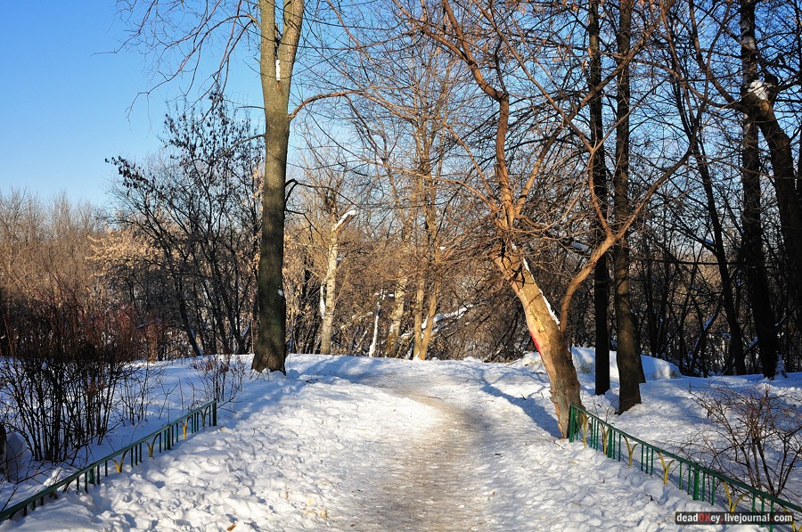 усадьба Петровское-Лобаново