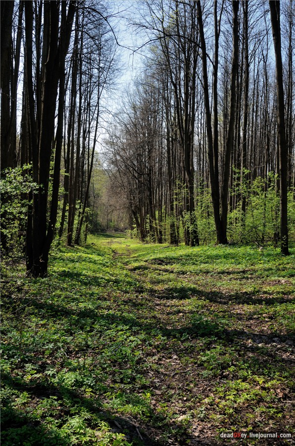 усадьба Андреевское-Туркино (Перематкино)