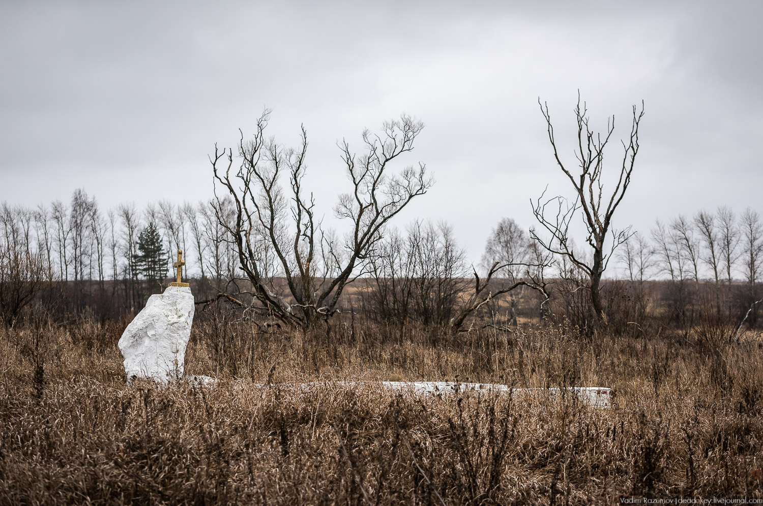 Старое Глазово, Тульская область, каширский уезд, могила архитектора В.И. Баженова