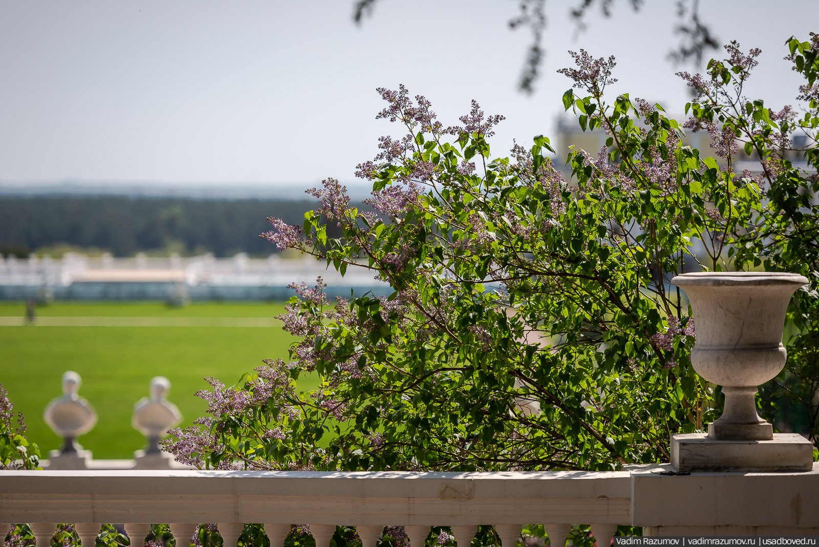 усадьба Архангельское, весна, май 2021