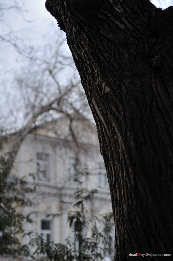 усадьба A. M. Полторацкого (Сабашниковых), Б. Левшинский пер., 6