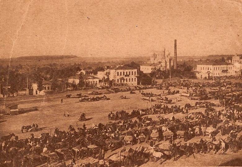 Усадьба Голицыных, г. Мичуринк