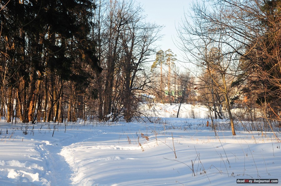 усадьба Архангельское-Тюриково