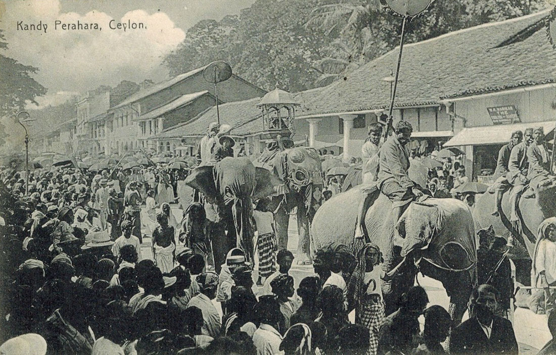 усадьба Мелихово. Чехов на Цейлоне