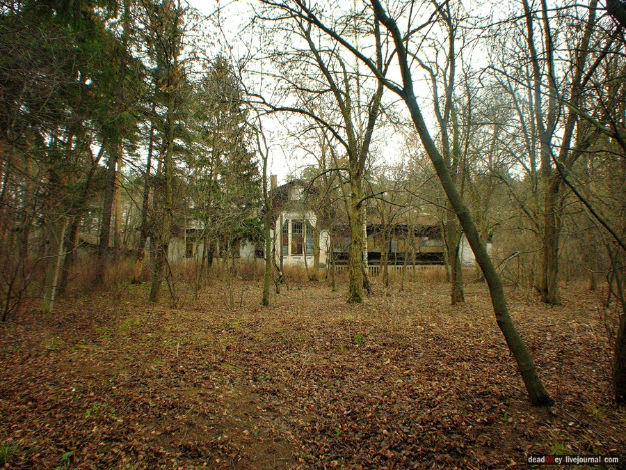 усадьба Глухово