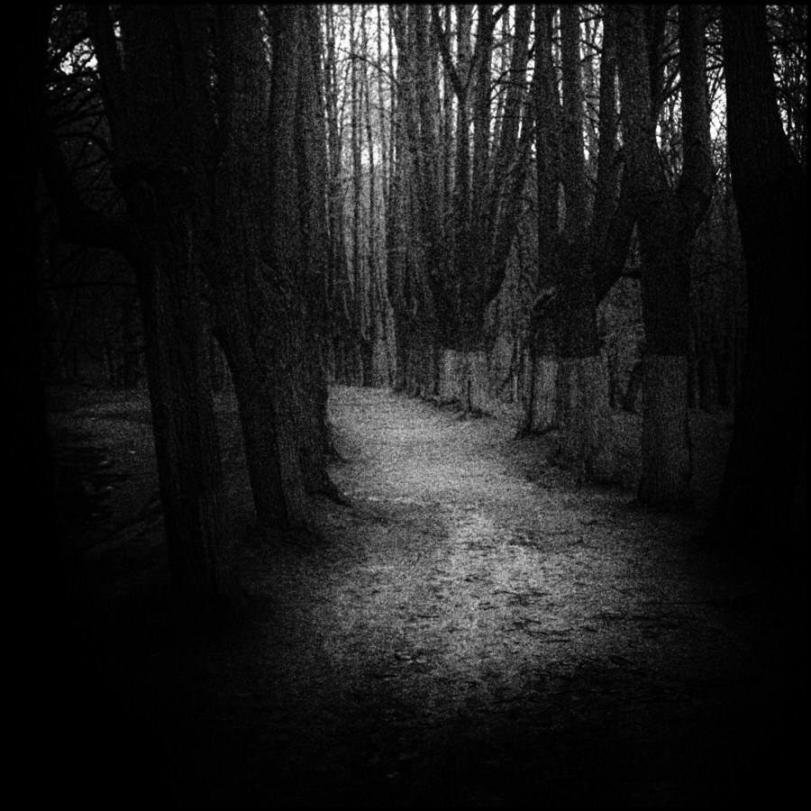 Парковые аллеи в русских усадьбах