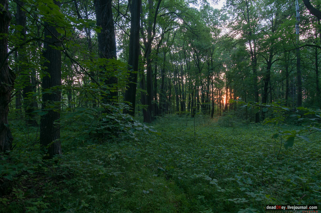 Усадьба Верзилово