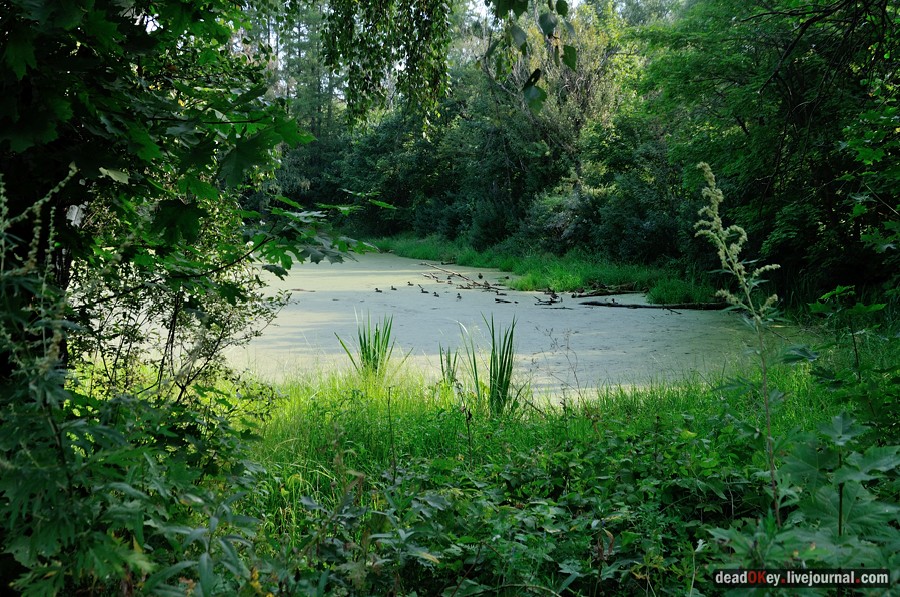 усадьба Пронино