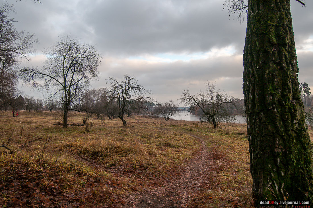 усадьба Гребнево, съемки телепередачи про усадьбу Гребнево на телеканале Усадьба
