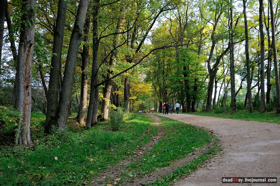 усадьба Ясная Поляна