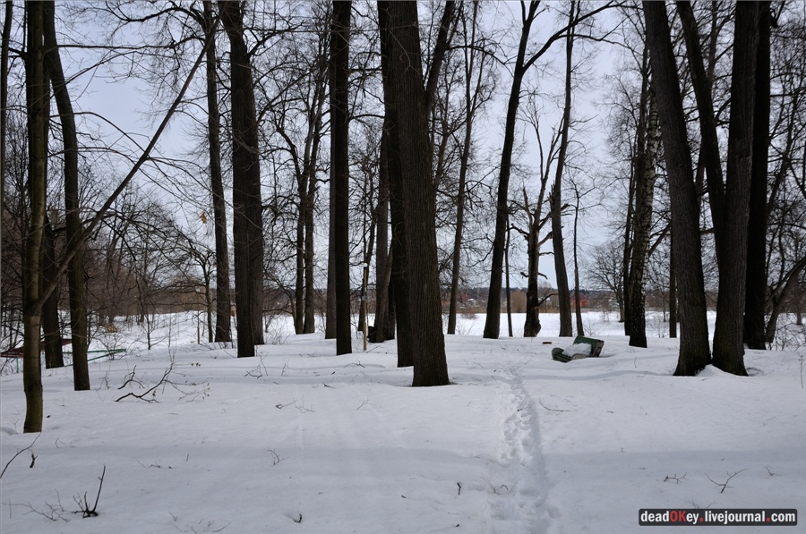 усадьба Райки