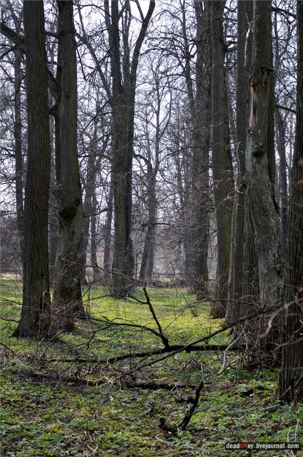 усадьба Грабцево