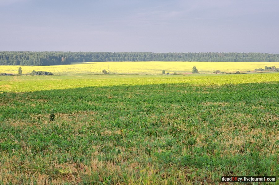усадьба Клины