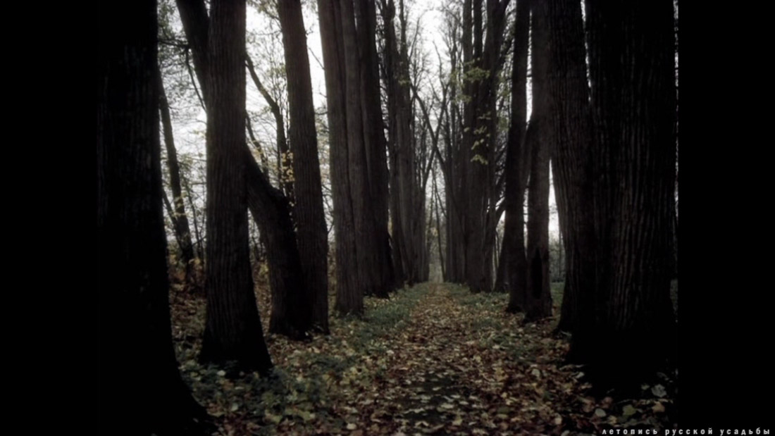 фильм Лев Толстой (1984), усадьба Ясная Поляна, Тульская область, Щекинский район, дер. Ясная Поляна.