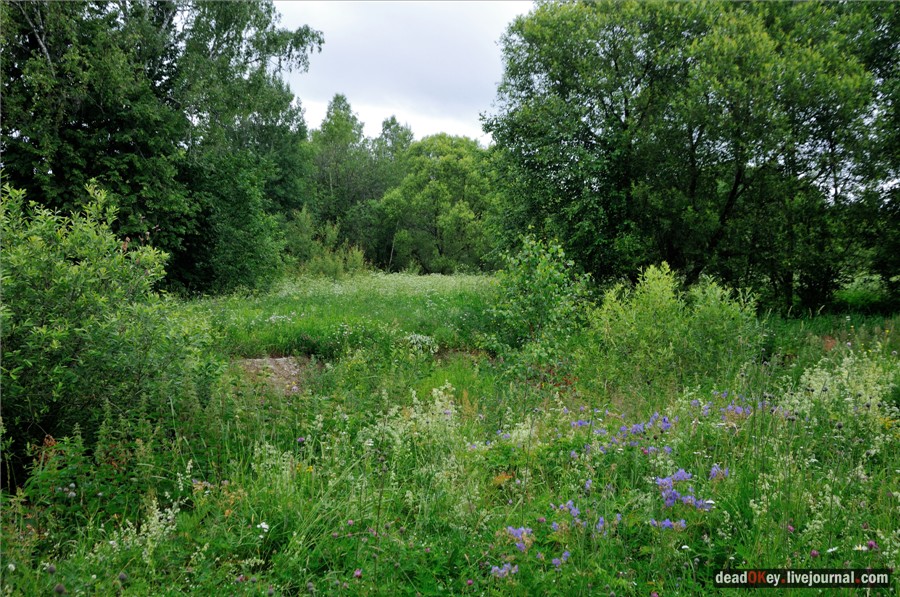 усадьба Фуникова Гора Прокудина-Горского