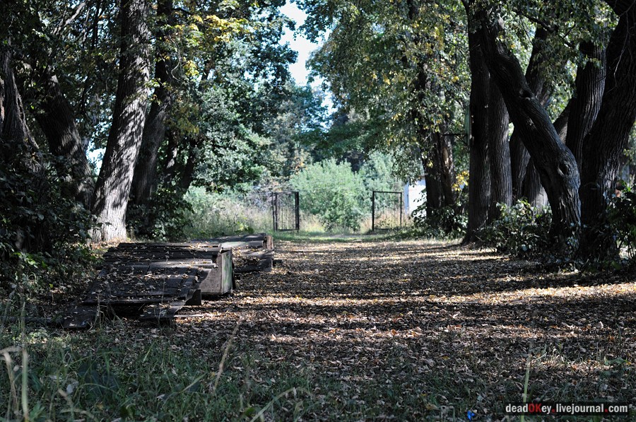 усадьба Опарино