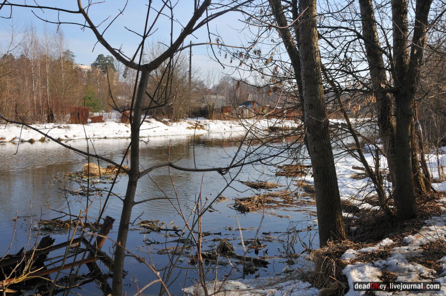 усадьба Лапино