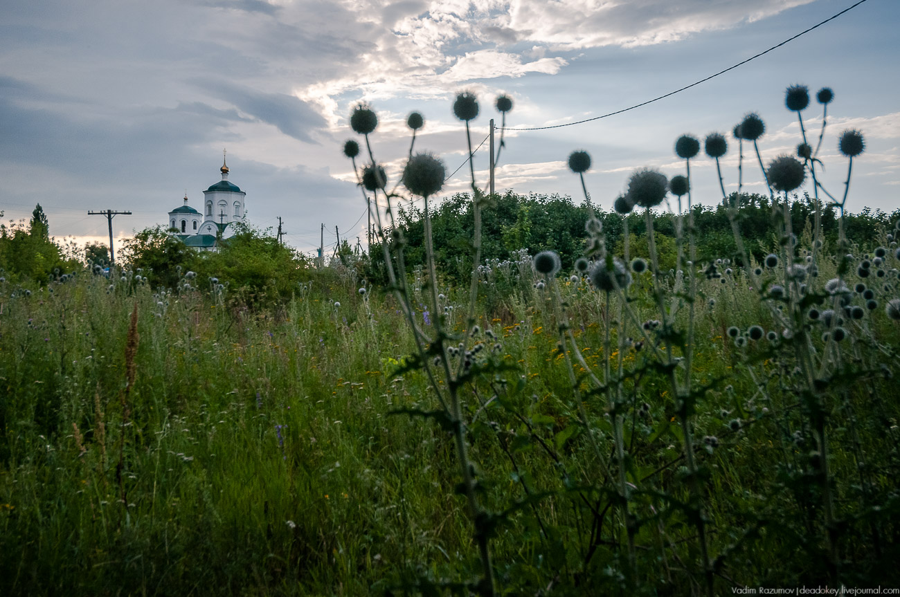 усадьба Липовка