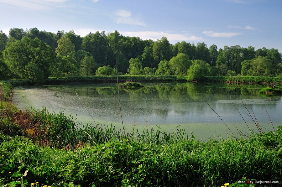 усадьба Мещерское