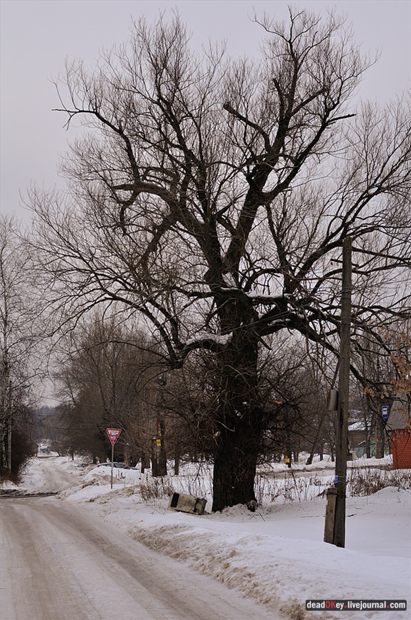 усадьба Успенское