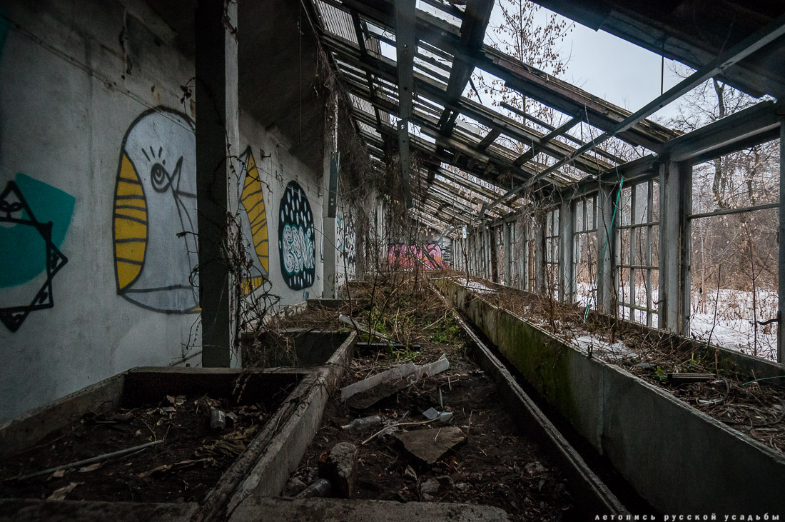 Усадьба Покровское-Стрешнево, интерьеры главного дома, пожар в оранжерее