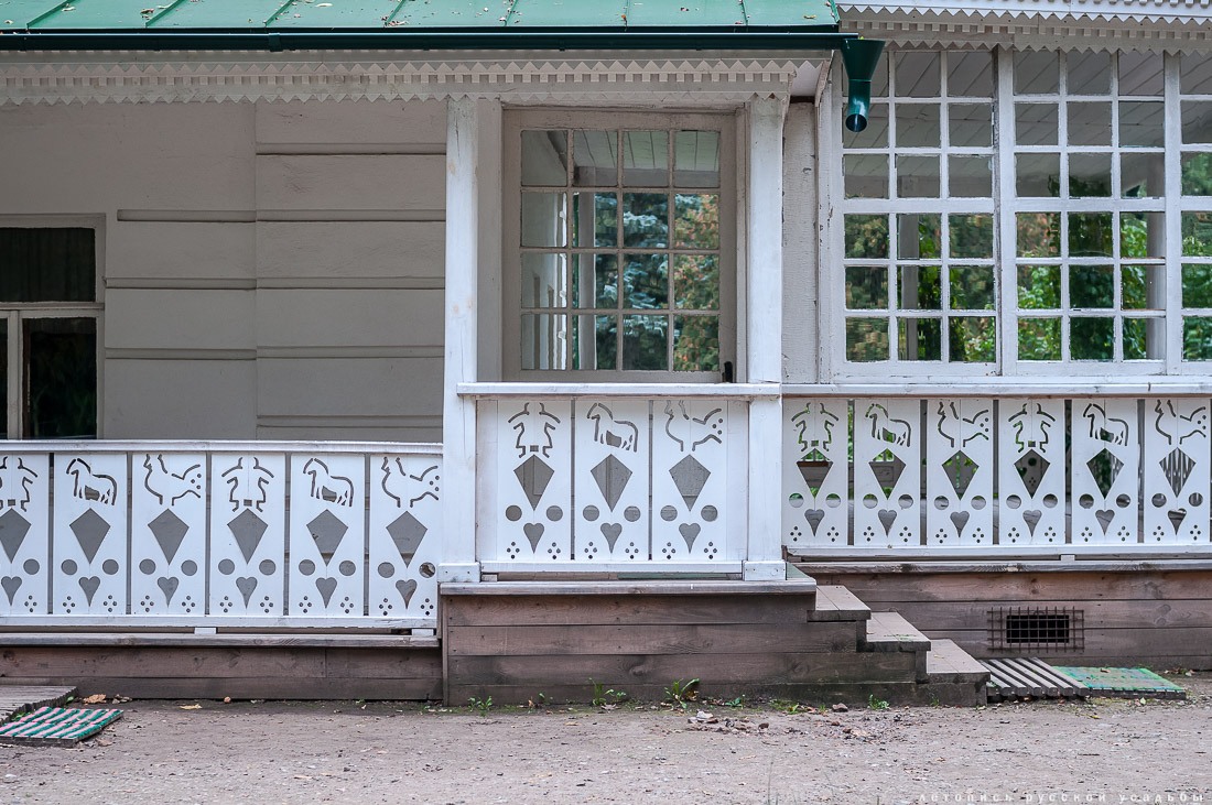 Усадебный экспресс. Ясная Поляна.