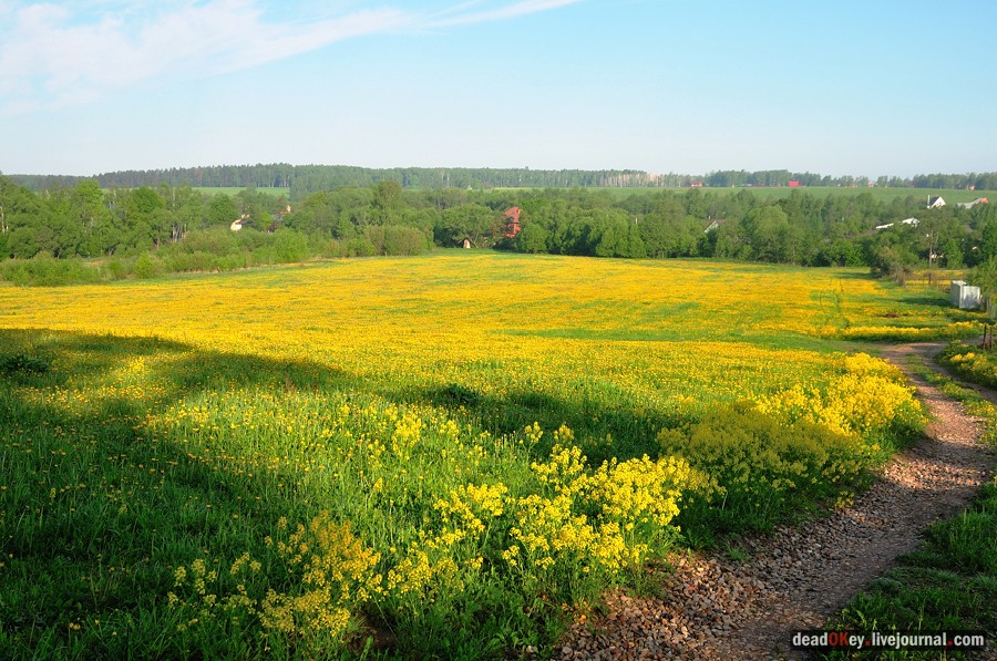 усадьба Прохорово