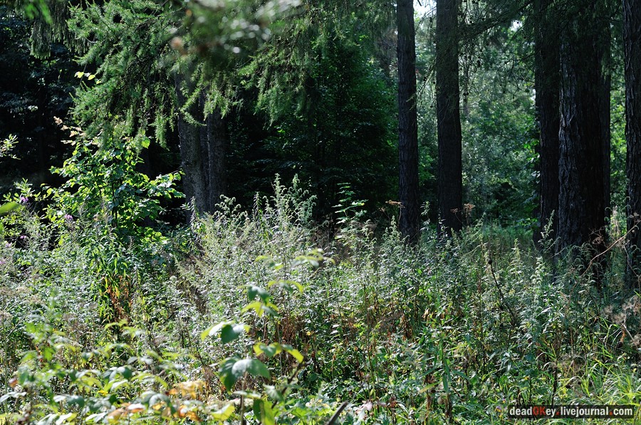 усадьба Пронино