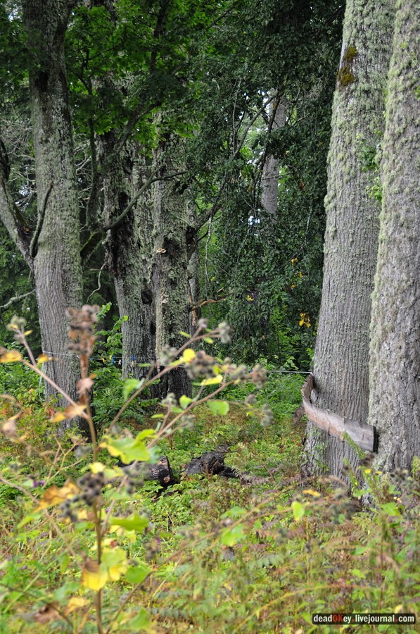 усадьба Верхоляне