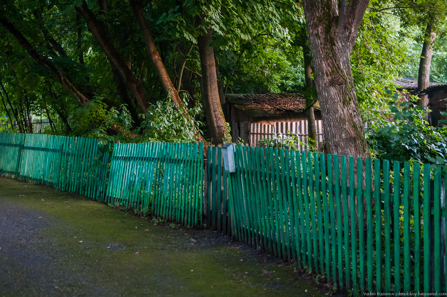 Гремячка, Рязанка, Урусово - тропа Семенова-Тян-Шанского
