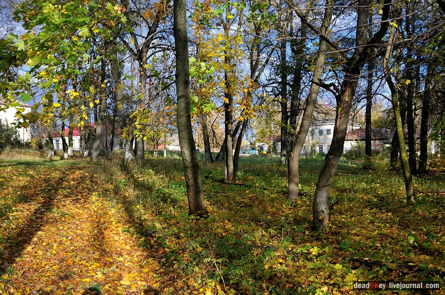 усадьба Авчурино