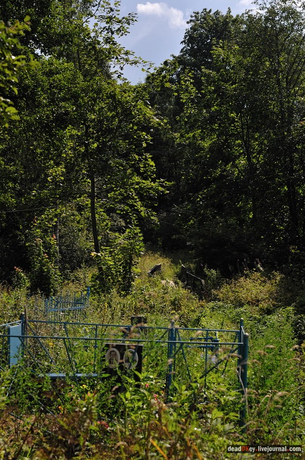 усадьба Верхоляне