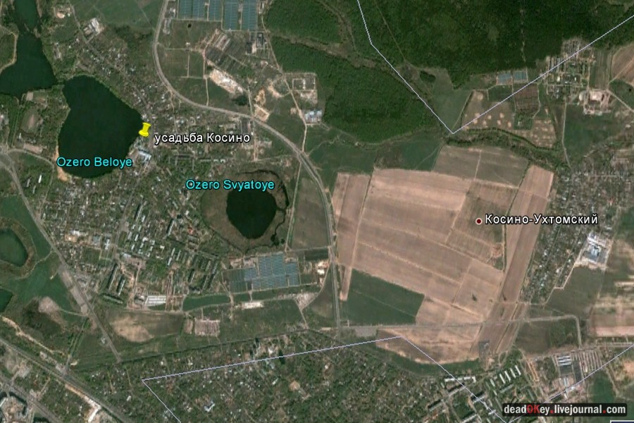 усадьба Косино