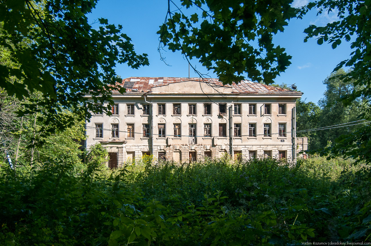 Летопись русской усадьбы. Усадьбы 2017 года