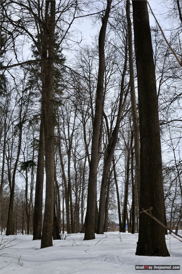 усадьба Райки