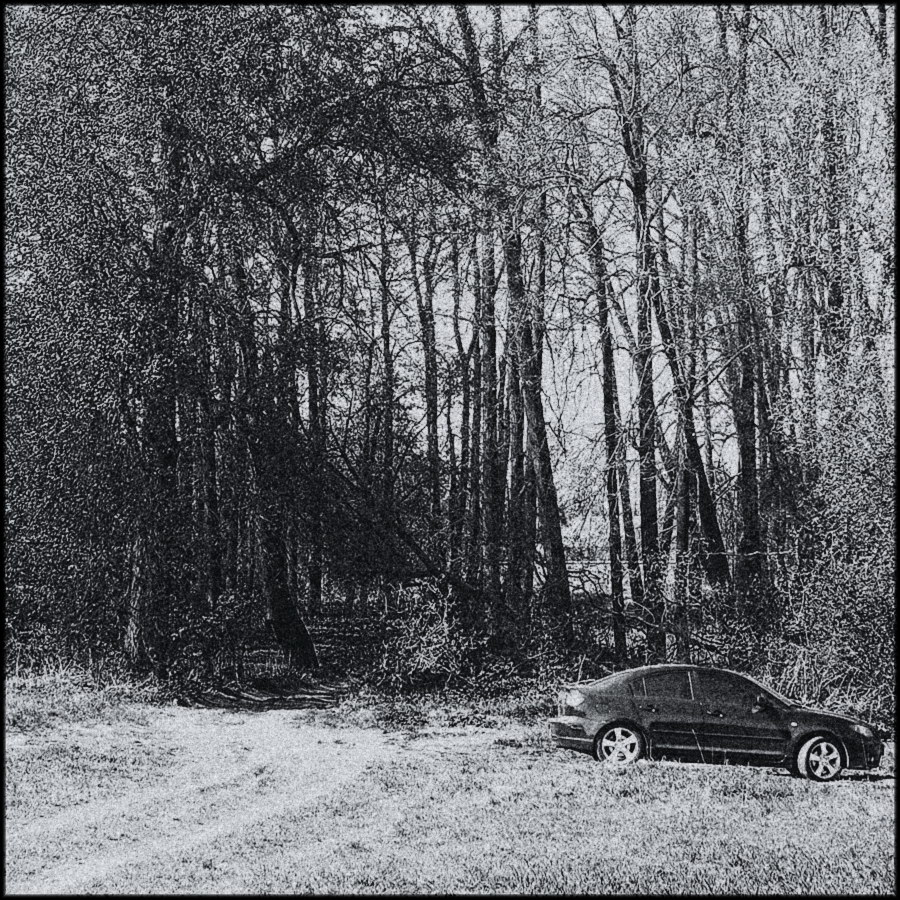 Парковые аллеи в русских усадьбах