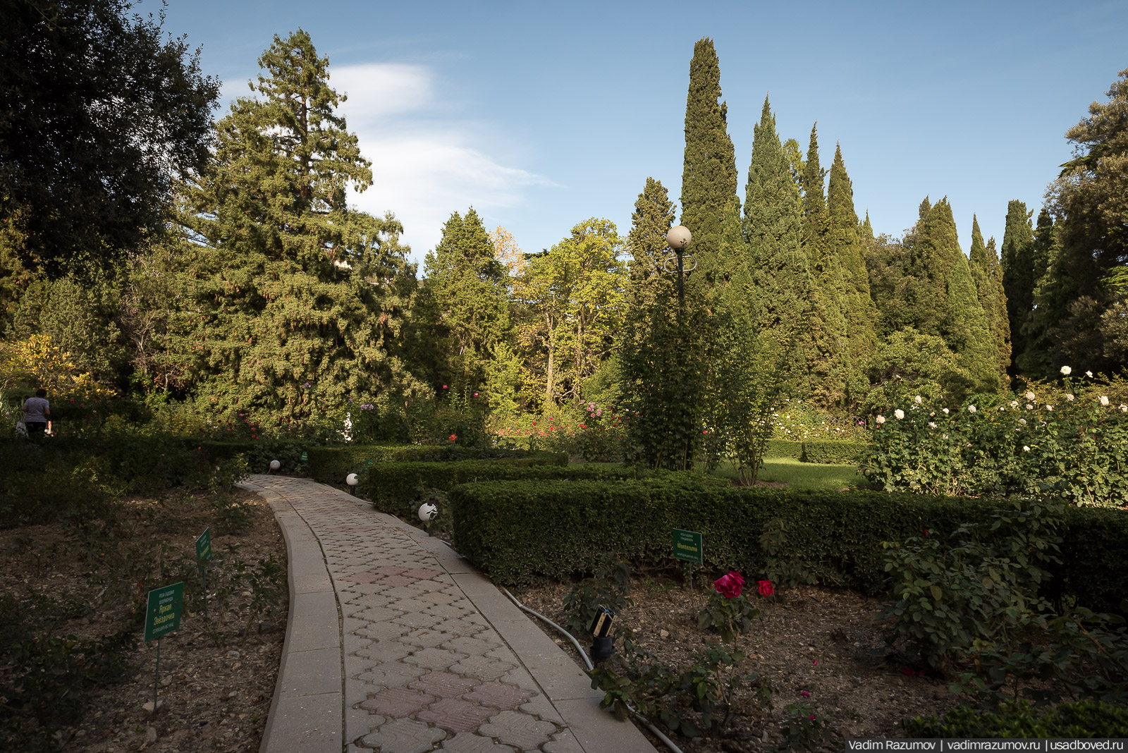 Никитский ботанический сад