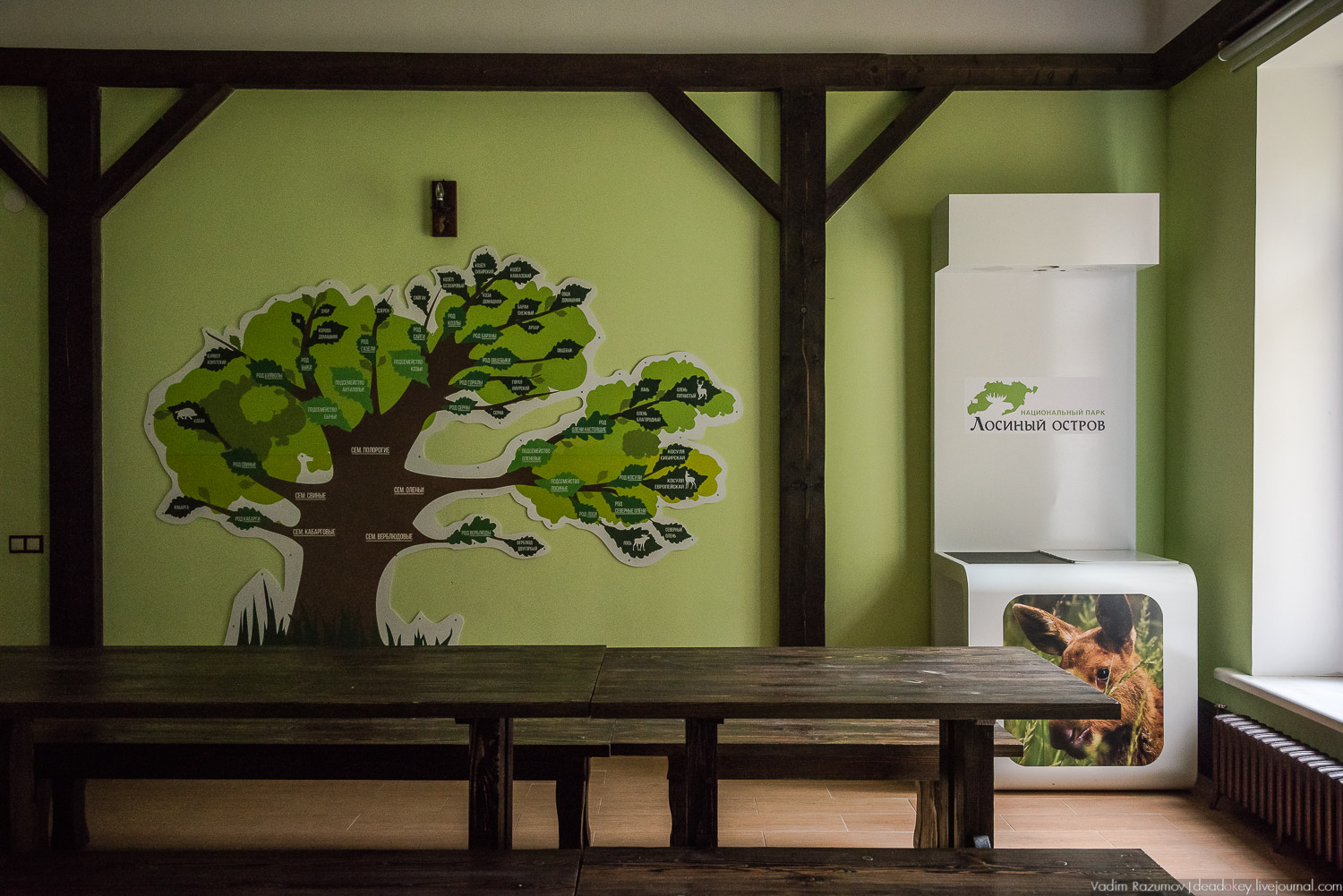 Лосиный остров