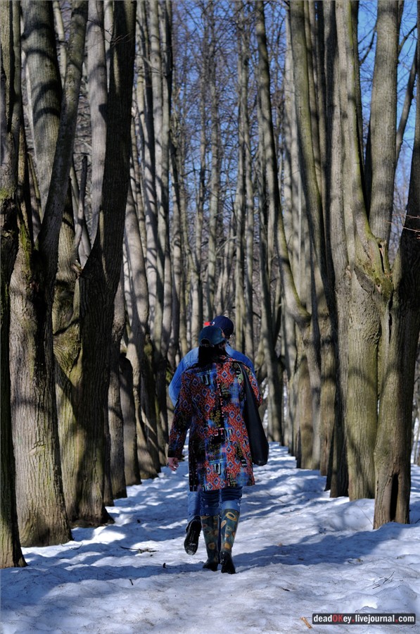 усадьба Узкое