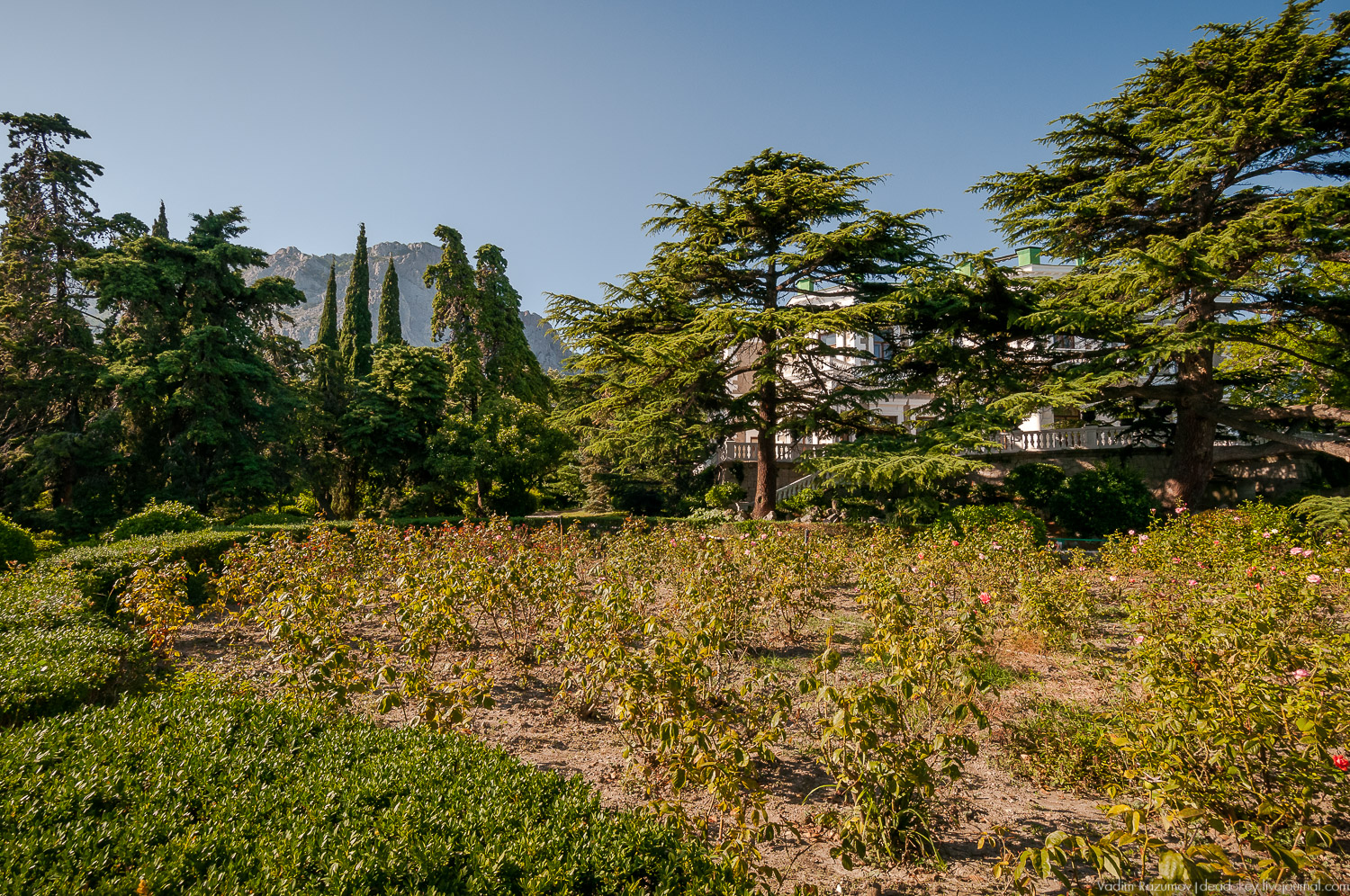 Форос, дворец Кузнецова, Крым