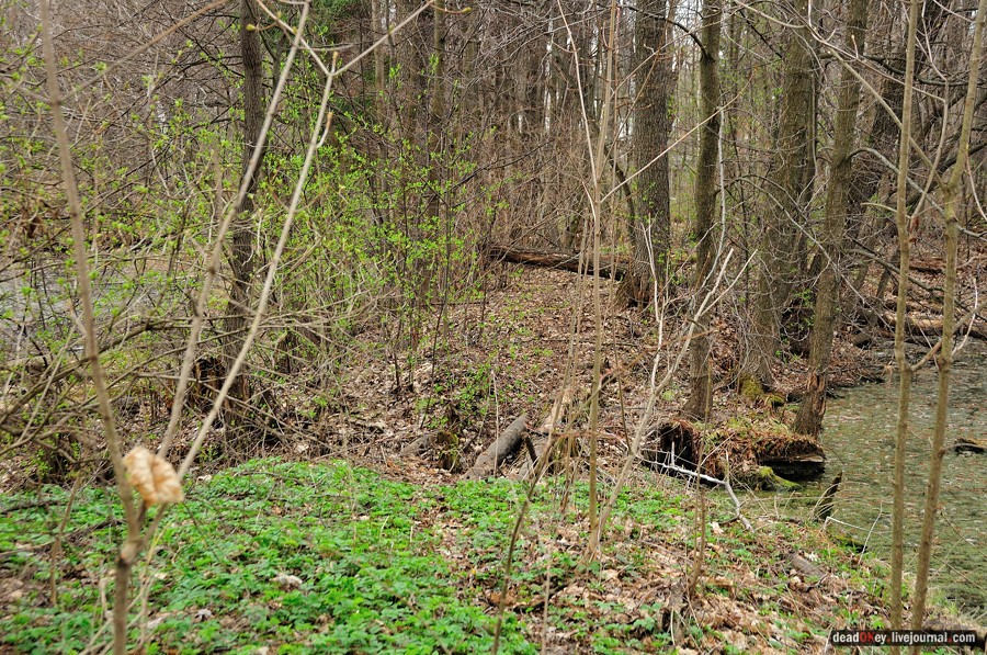 усадьба Антипино