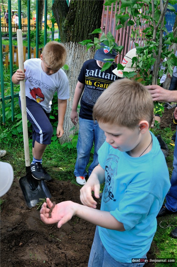 усадьба Наташино, Наташинские пруды