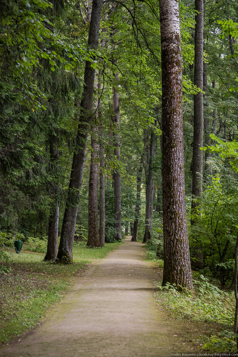 усадьба Спасское-Лутовиново И.С. Тургенева, юбилей Тургенева 200 лет, Орловская область