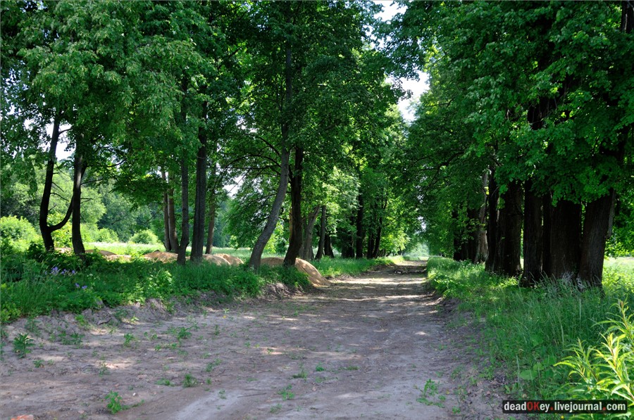 усадьба Петровское (Большепетровское)