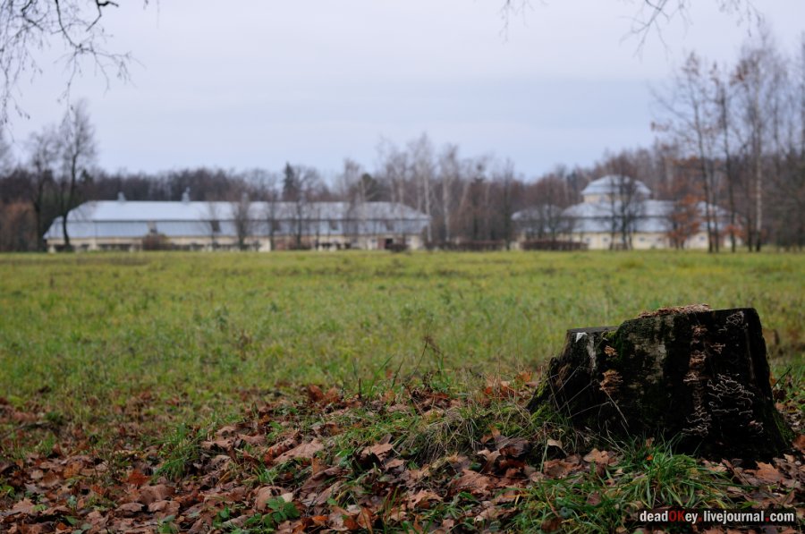 усадьба Горки Ленинские